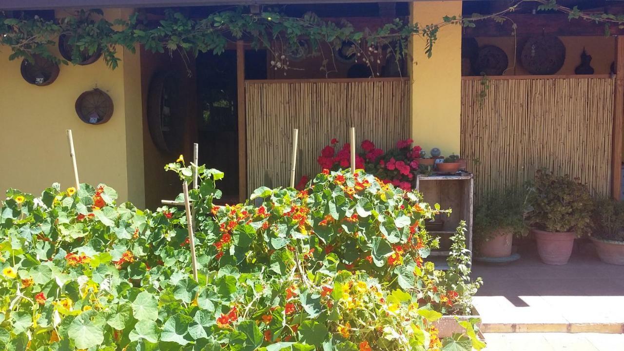 Casa Di Campagna Dal Pozzo Sorso Eksteriør billede